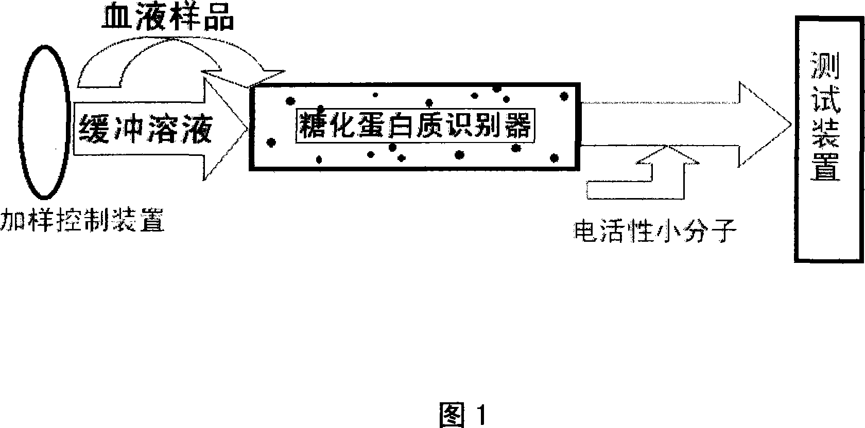 Electrochemistry detecting method and testing apparatus of saccharification hemoglobin content