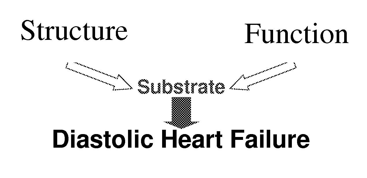 Detecting and monitoring left ventricular hypertrophy and congestive heart failure by profiling biomarkers