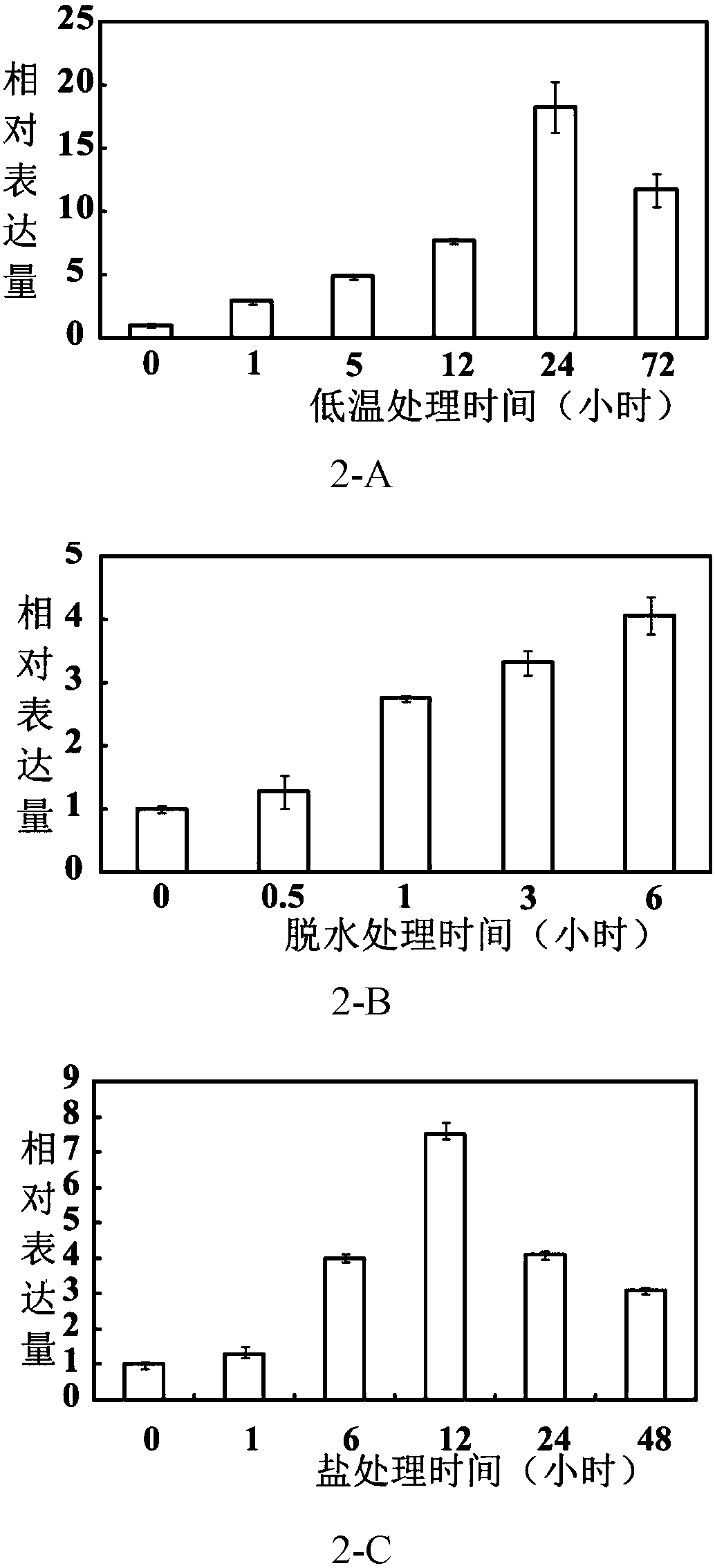 Pyrus betulaefolia cold-resistant factor PbrMYB5 and application thereof