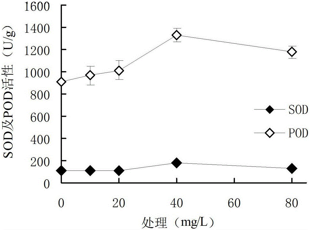 Method for enhancing restoration capacity of chickweed on cadmium-polluted soil in orchard through uniconazole