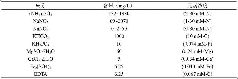 Method for enriching and culturing anaerobic ammonia oxidizing bacteria by using membrane bioreactor