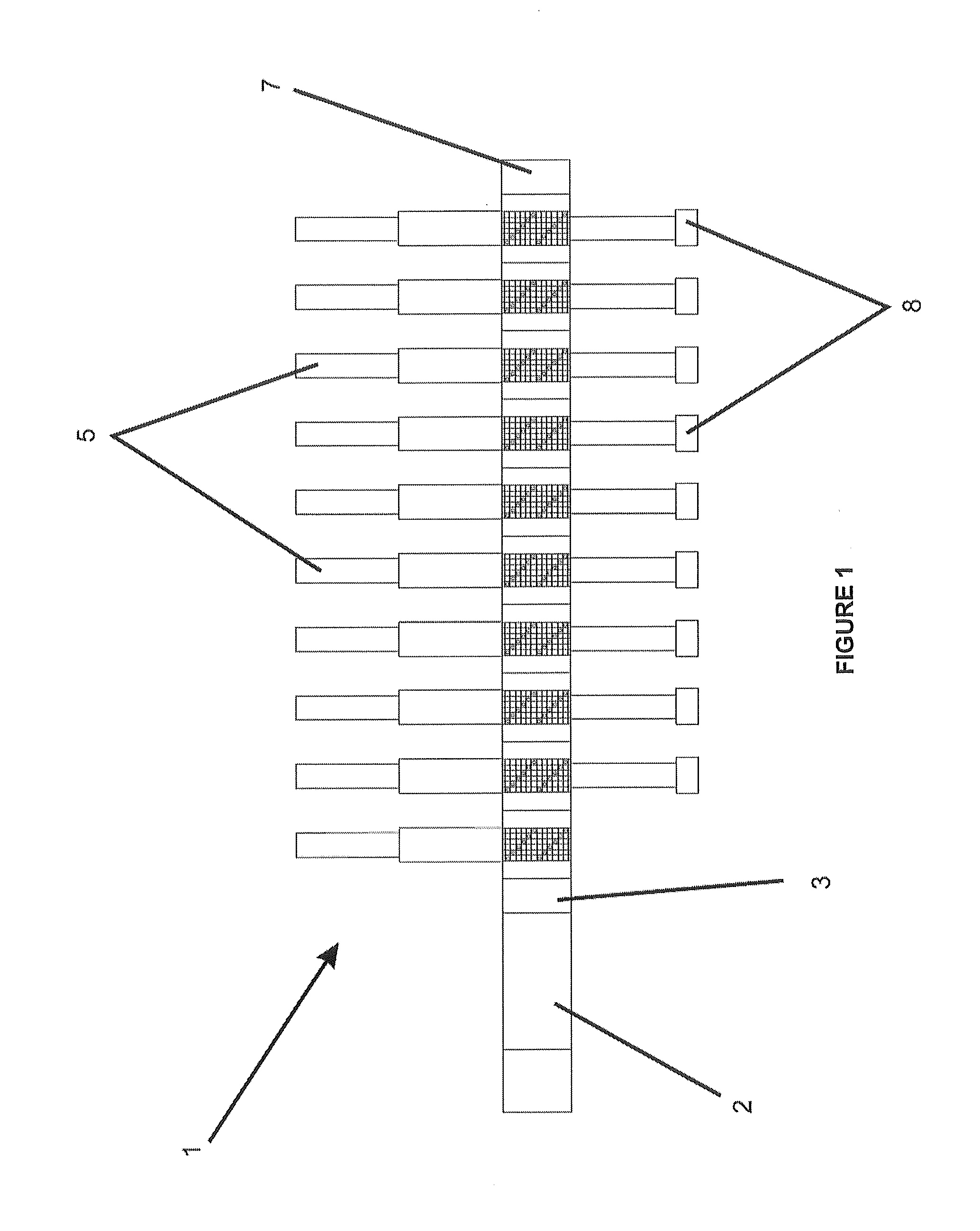 Applied to a continuous egg grader machine