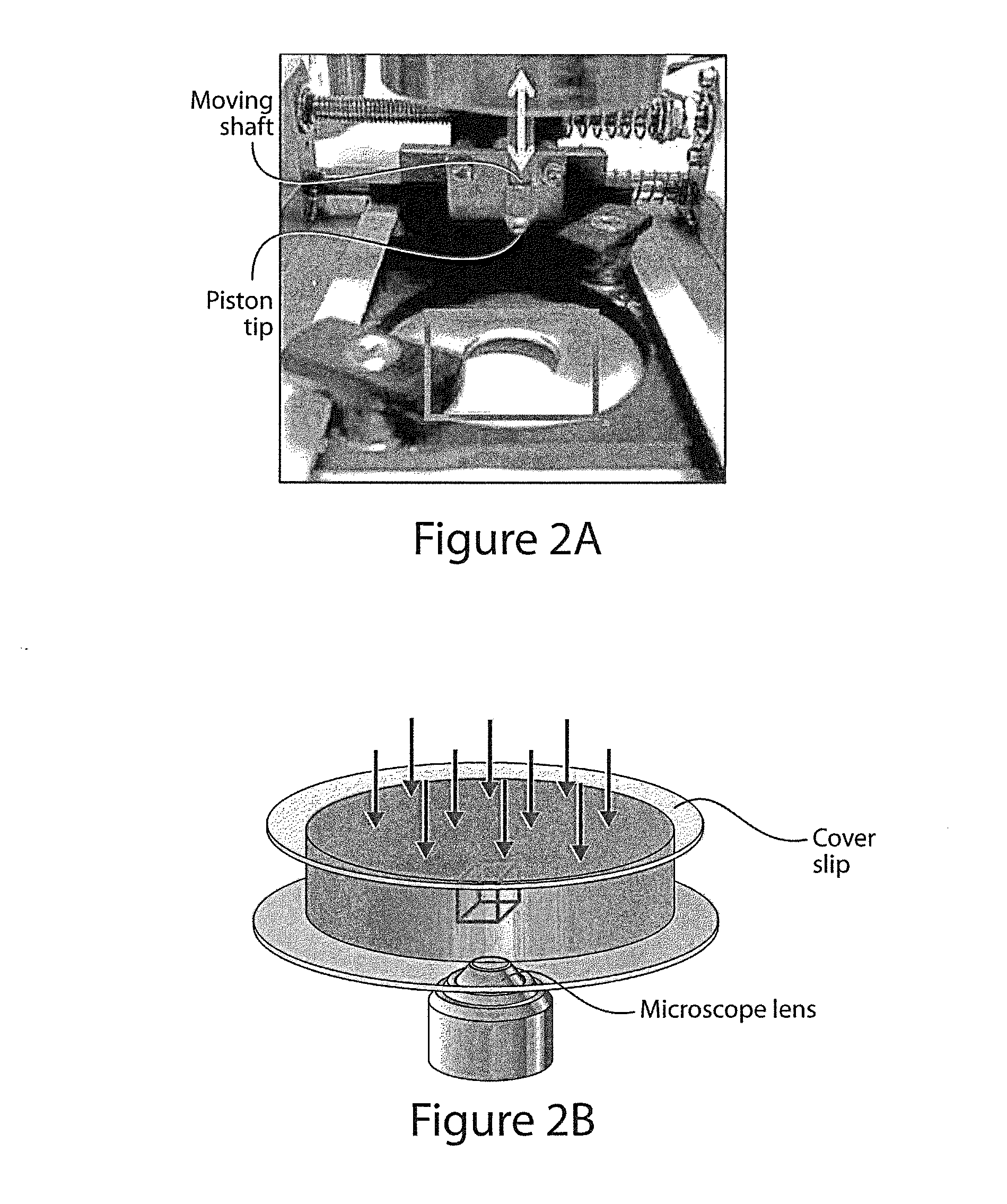 Device and system for mechanical measurement of biomaterial