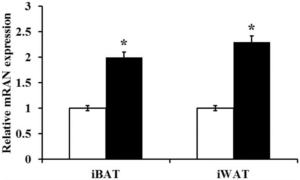 New application of axitinib