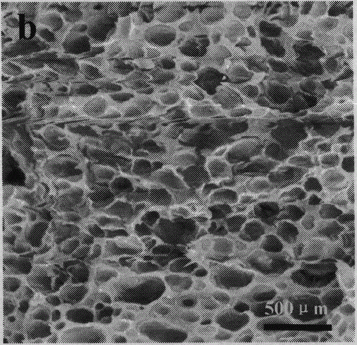 A kind of bone cement and preparation method thereof