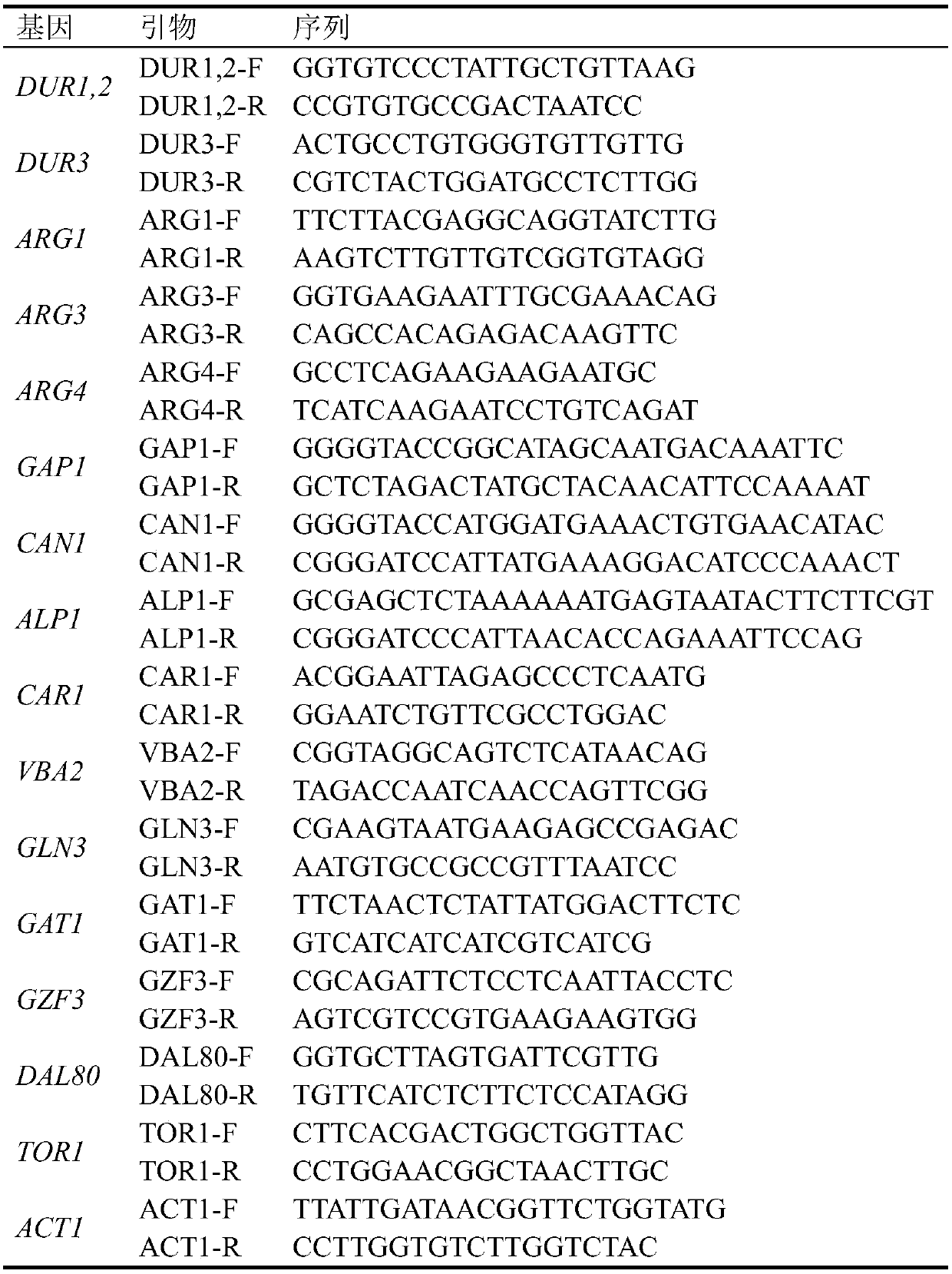 Method for reducing yellow wine yeast urea accumulation by regulating and controlling activating transcription factors