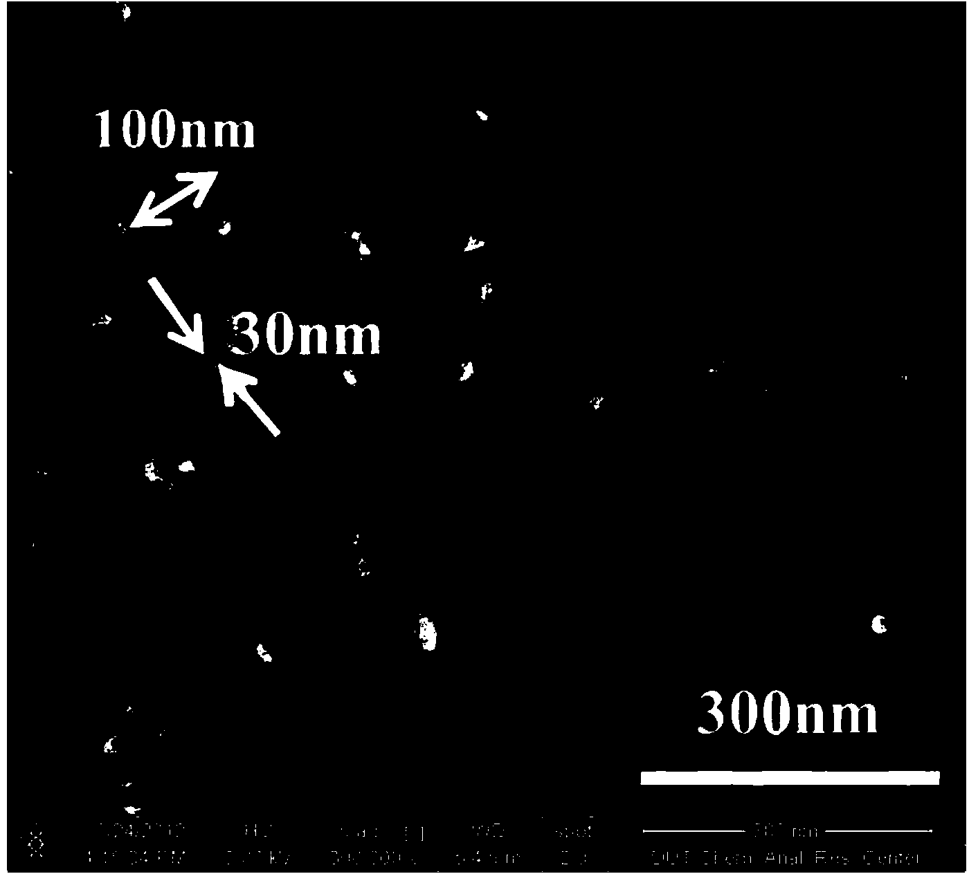 Preparation method of BiFeO3 nano particle compounded TiO2 nanotube array electrode material