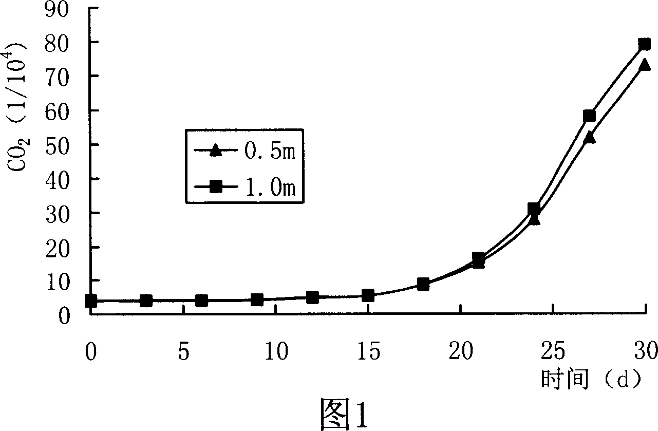 Harmful organism movement monitoring method used during agricultural product storage and conveying