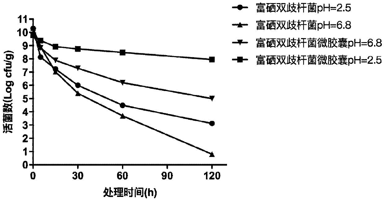 Selenium-enriched bacillus bifidus micro-capsules