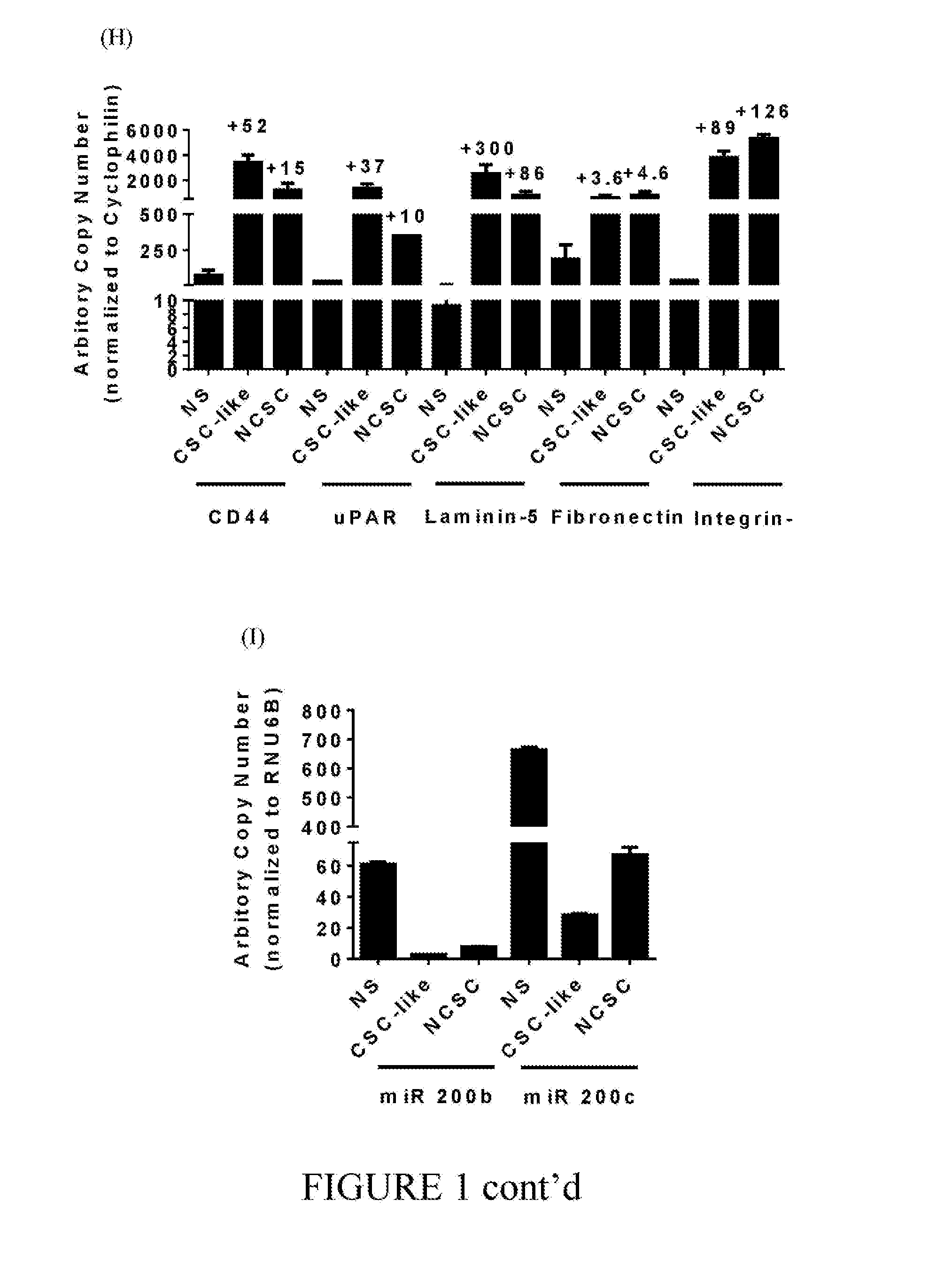 Stem Cell Modulation II