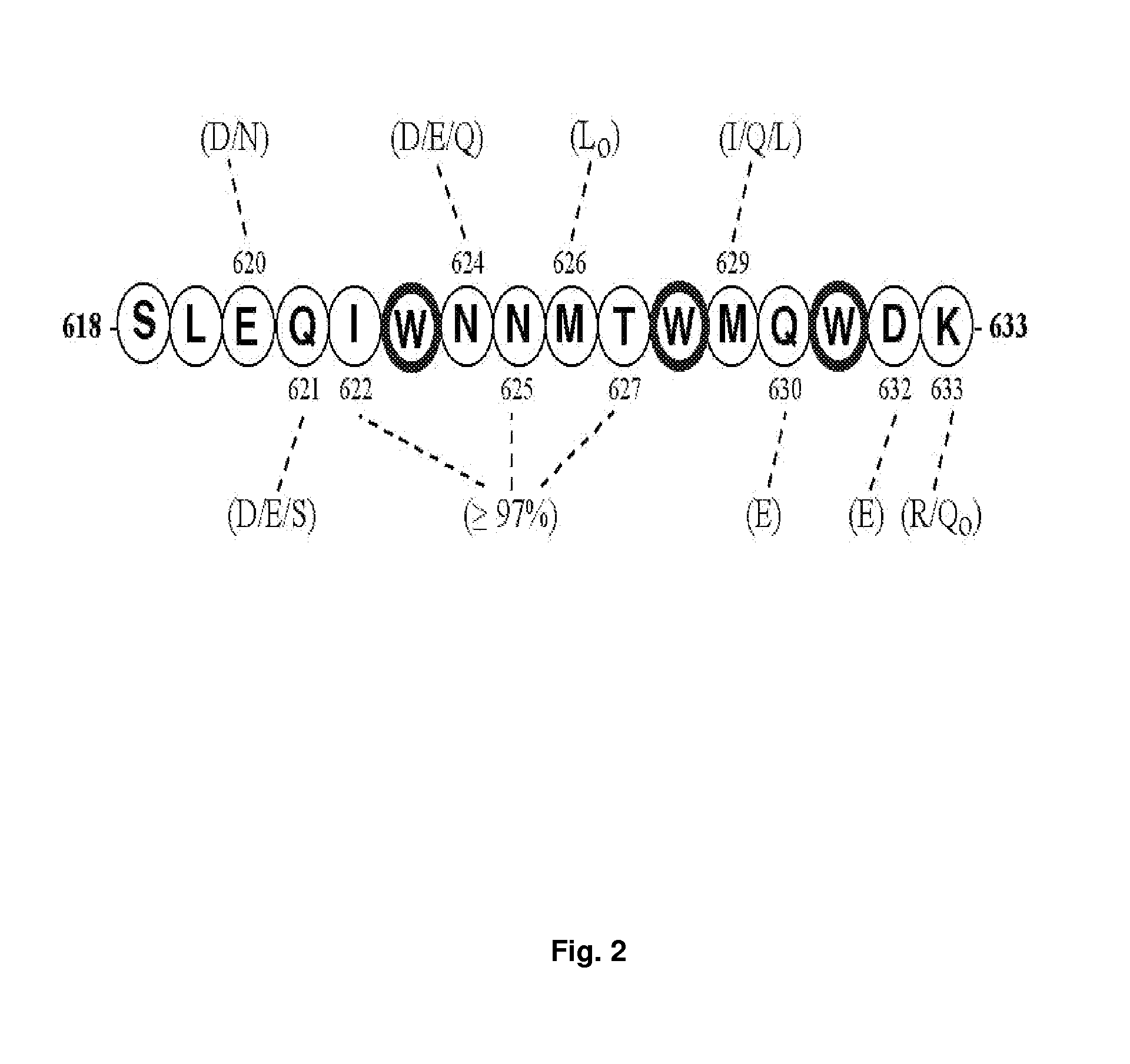 Synthetic peptides corresponding to overlapping neutralizing determinants in the CBD1 epitope induce broadly neutralizing antibodies