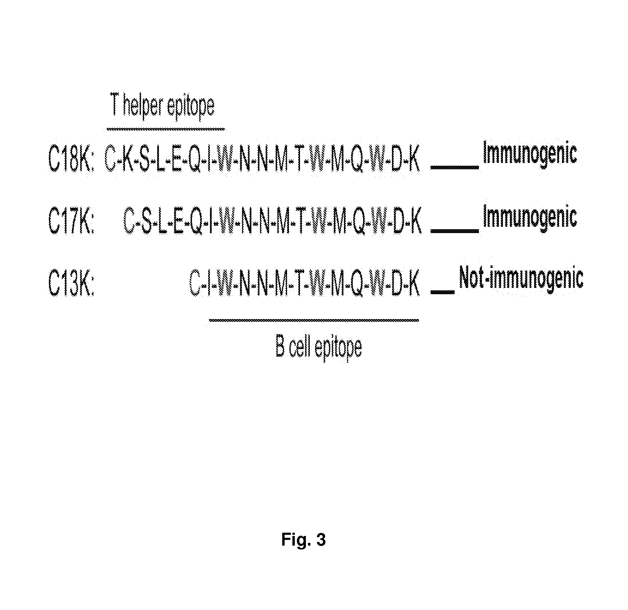 Synthetic peptides corresponding to overlapping neutralizing determinants in the CBD1 epitope induce broadly neutralizing antibodies