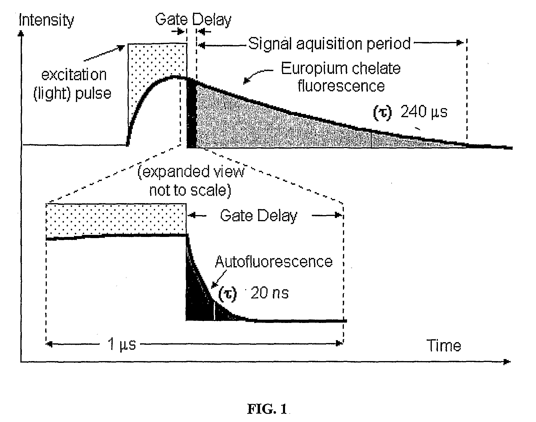 Fluorescence Detection