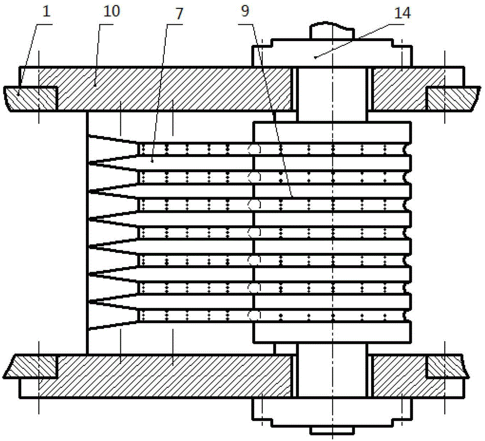 Chestnut Shelling System