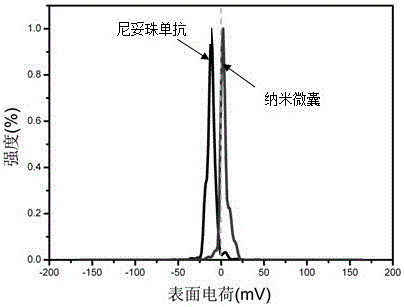 Poly(2-methacryloyloxyethyl phosphorylcholine) entrapped nimotuzumab nanocapsule, as well as preparation method and application thereof