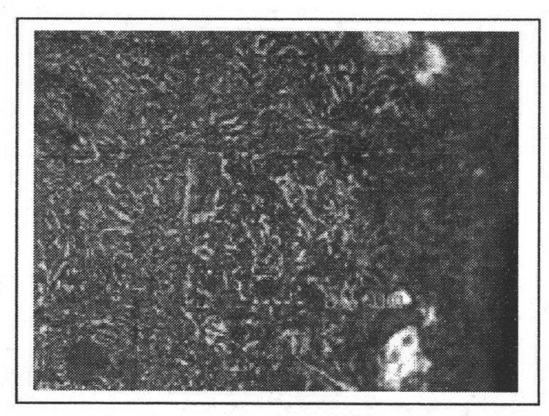 Chemical nitridation catalyst