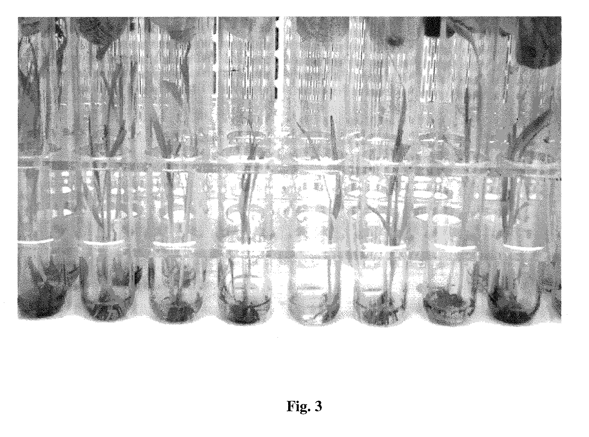 Transgenic sweet sorghum with altered lignin composition and process of preparation thereof