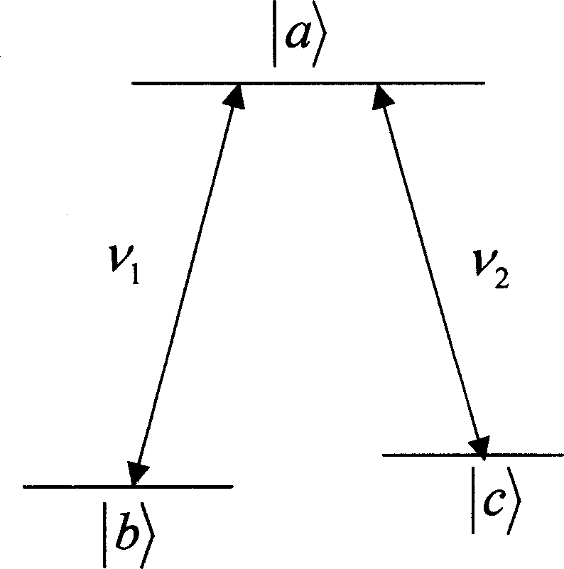 Laser phase noise measurer