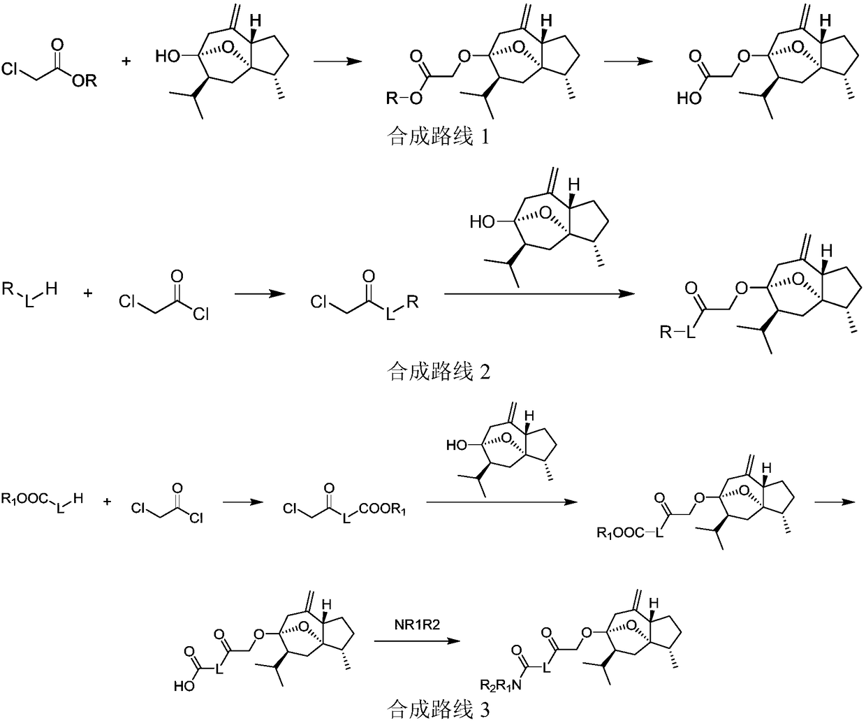 A kind of curcumol derivative with antitumor activity and its preparation method and application
