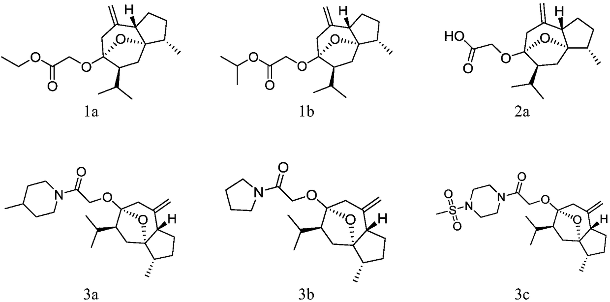 A kind of curcumol derivative with antitumor activity and its preparation method and application