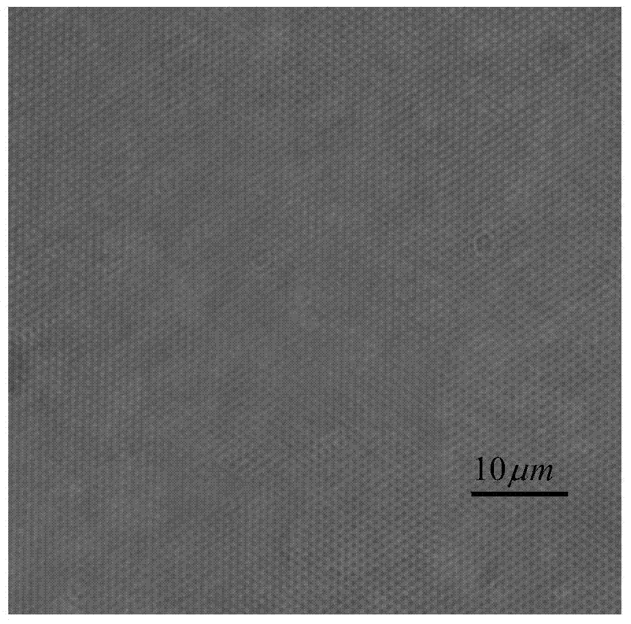 Temperature gradient-based method for preparing three-dimensional colloidal crystal