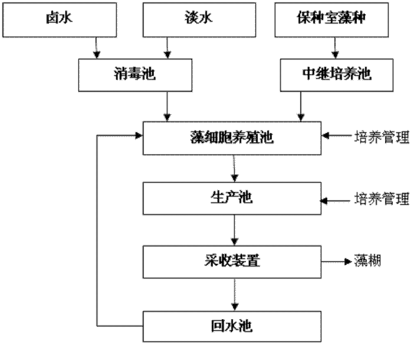 Culture method for accumulating organic iodine in Dunaliella salina