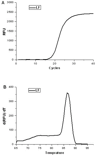 Specific primers for detecting bovine LF gene mRNA (messenger ribonucleic acid) expression level and fluorescent quantitative detection kit