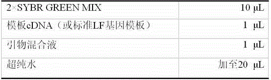 Specific primers for detecting bovine LF gene mRNA (messenger ribonucleic acid) expression level and fluorescent quantitative detection kit