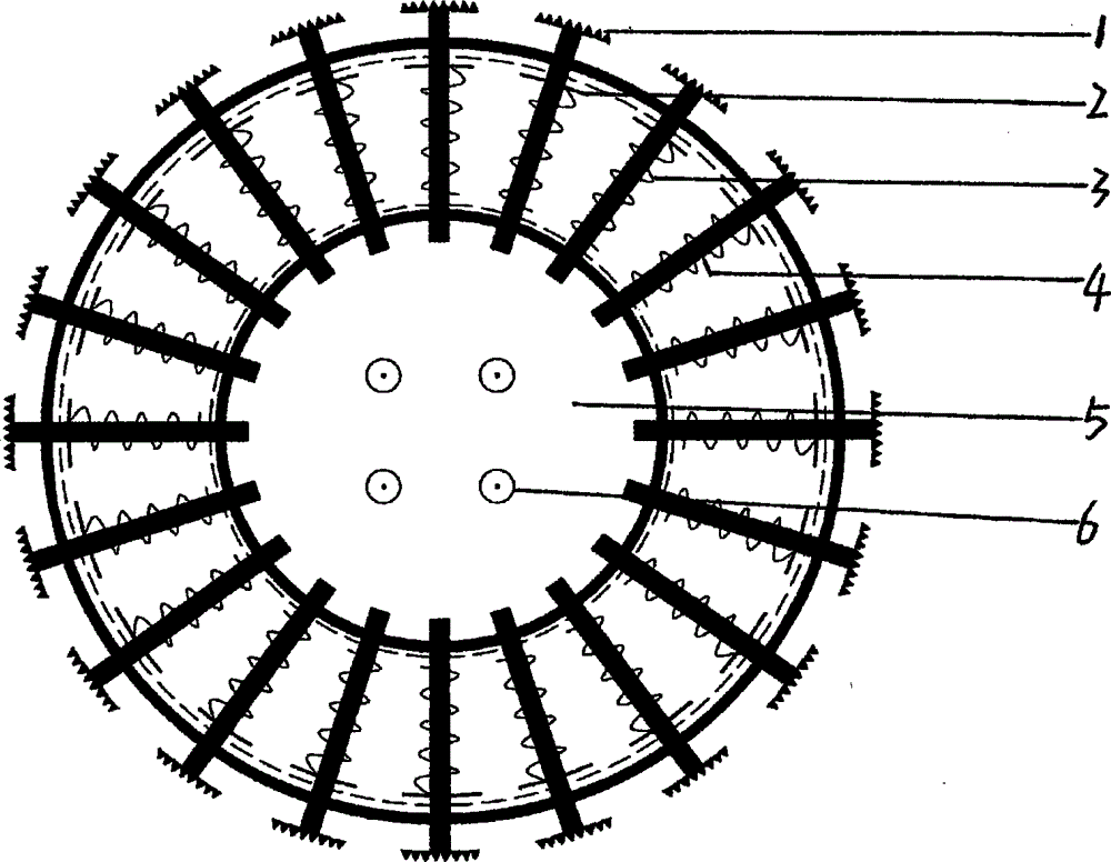 Anti-skid device for automobile