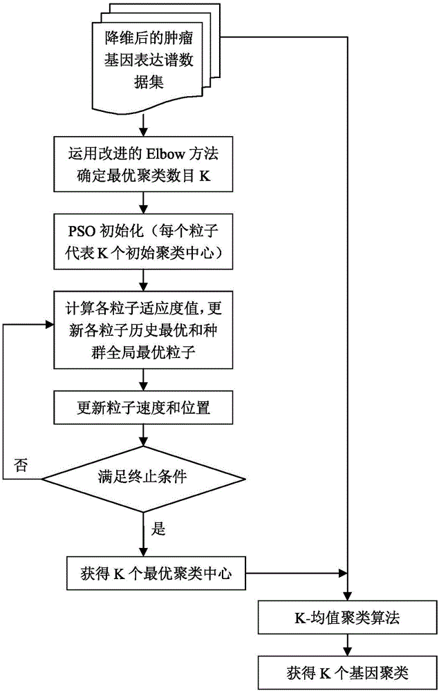 Tumor key gene identification method based on prior information and parallel binary particle swarm optimization