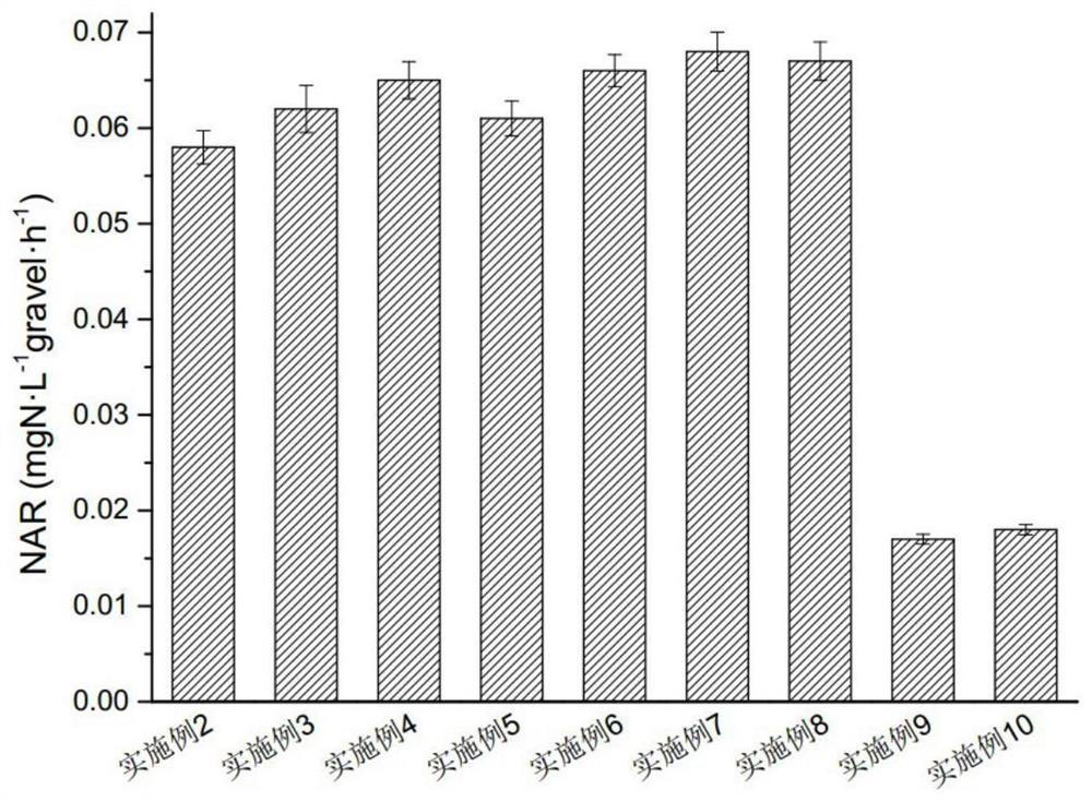 Composite microbial preparation and its application in sewage treatment