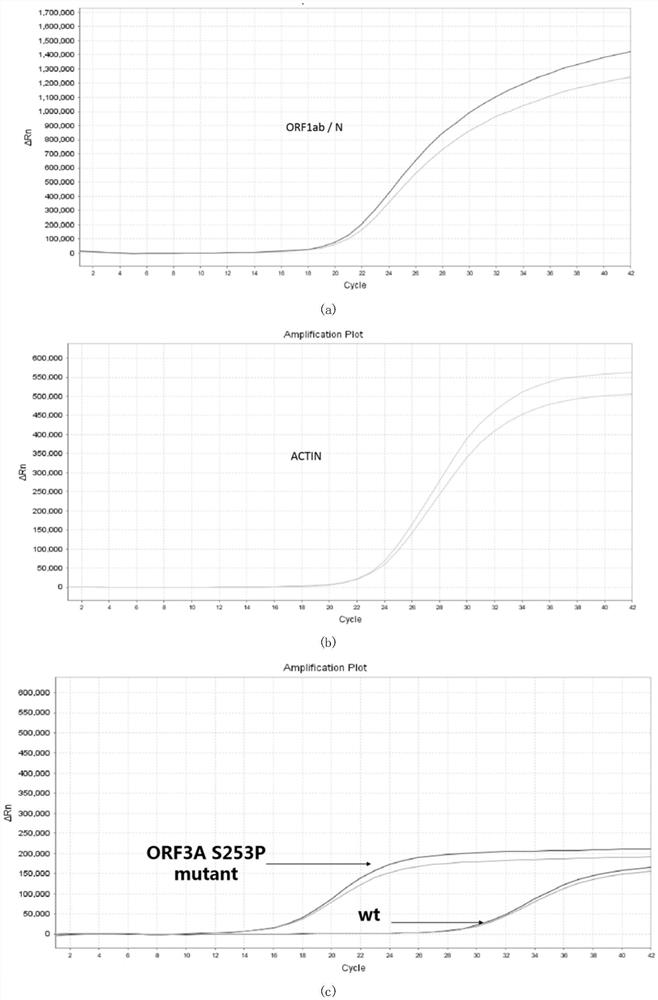 Primer, probe composition and kit for detecting novel coronavirus and variant thereof