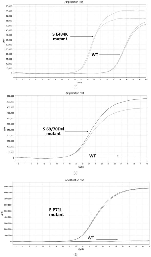 Primer, probe composition and kit for detecting novel coronavirus and variant thereof