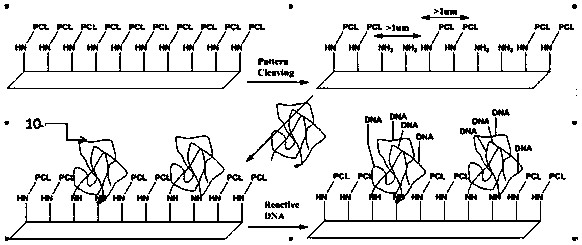 Patterning microarray flowing tank, manufacturing method, detection method and application of flowing tank