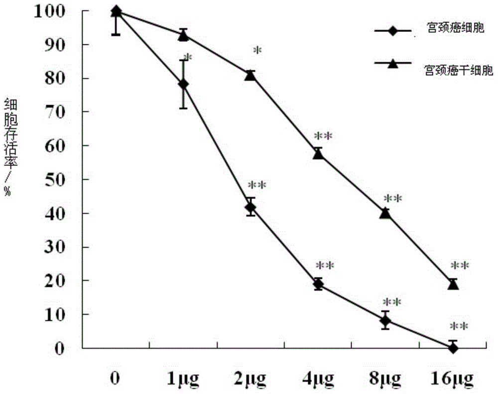 Morusin anti-tumor application