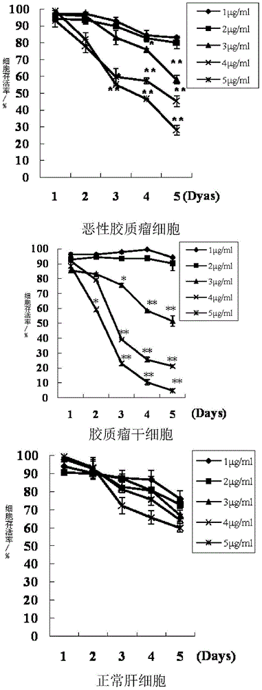 Morusin anti-tumor application