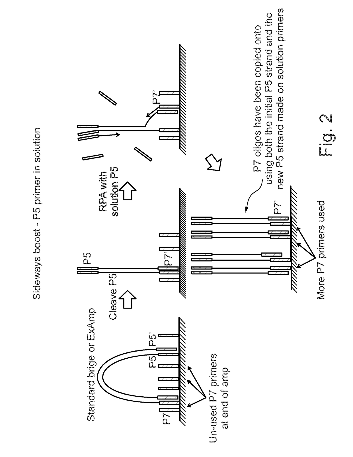 Enhanced utilization of surface primers in clusters