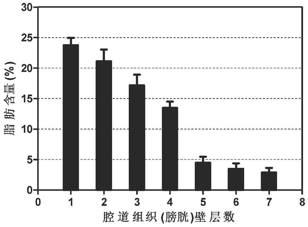 Preparation method of biological membrane as well as product and application of biological membrane