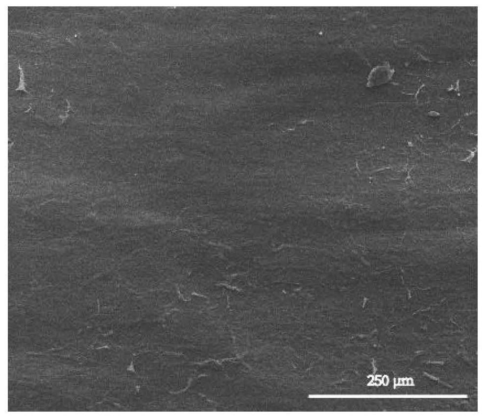 Preparation method of biological membrane as well as product and application of biological membrane