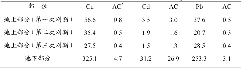 Application of Trifolium repens in remediation of heavy metal contaminated soil