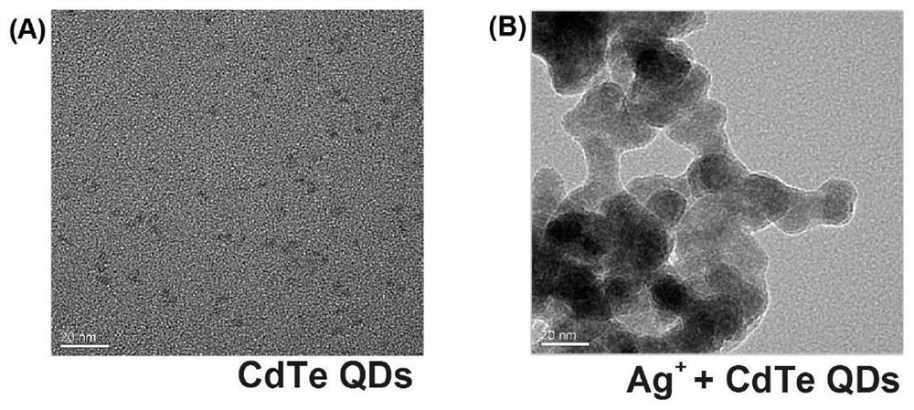 HIV p24 high-sensitivity detection method based on quantum dot selective cation exchange reaction