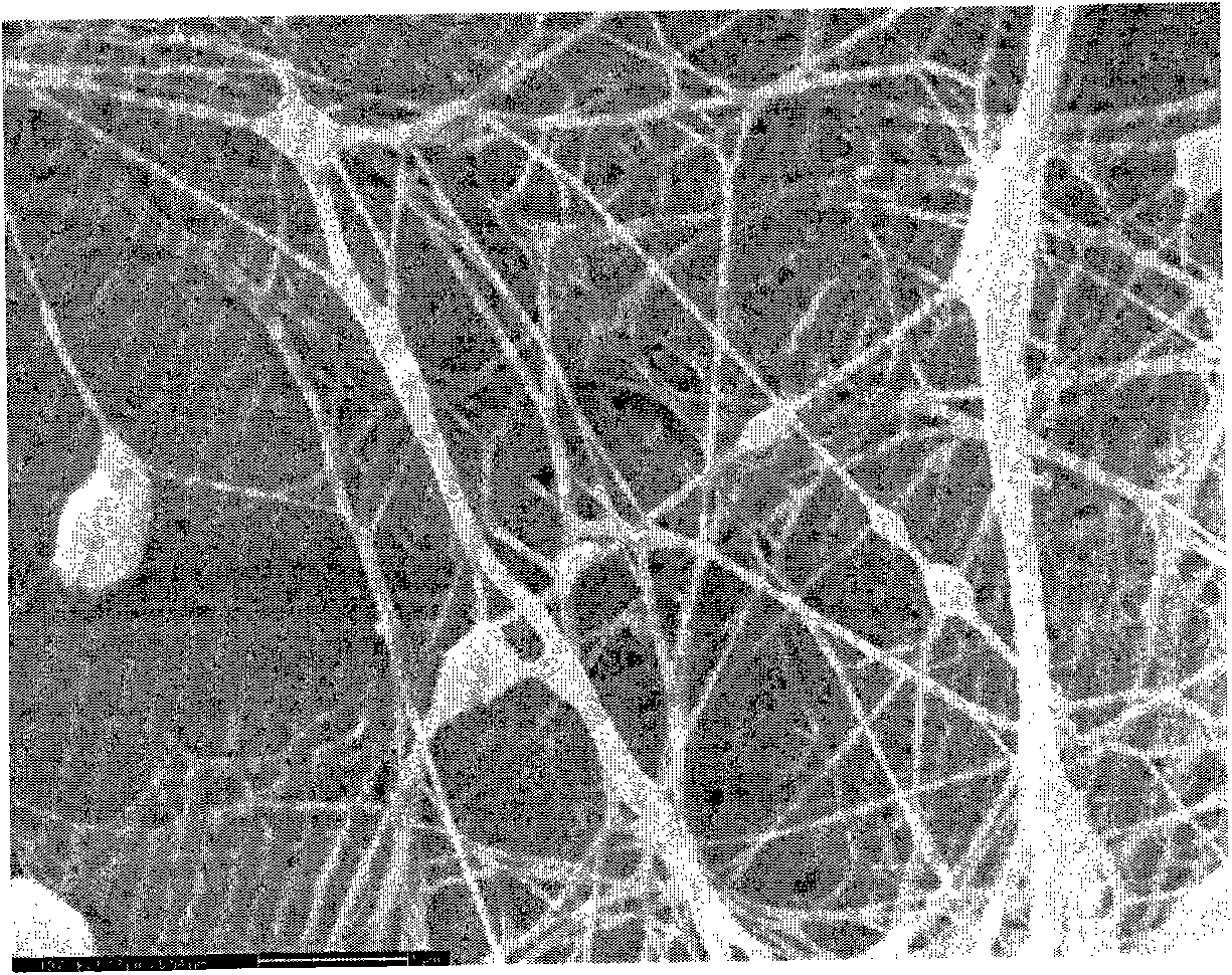 Method for preparing flamazine/bacterial cellulose composite wound dressing