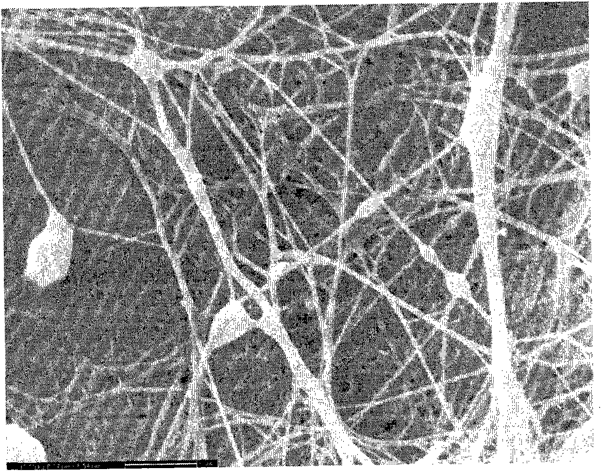 Method for preparing flamazine/bacterial cellulose composite wound dressing