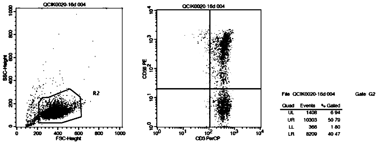 Culture method of umbilical cord blood lymphocyte CIK