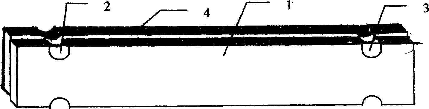 Bamboo slip type coarctation tea