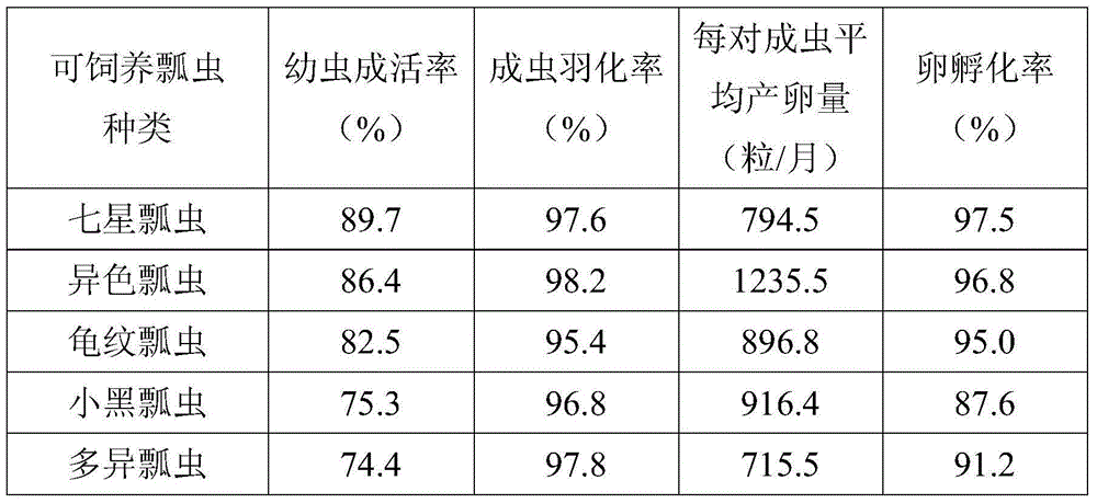 Universal artificial feed for ladybird and preparation and application methods of universal artificial feed