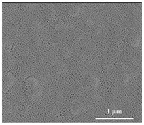 Method for preparing metal organic framework molecular sieve membrane by supercritical fluid technology