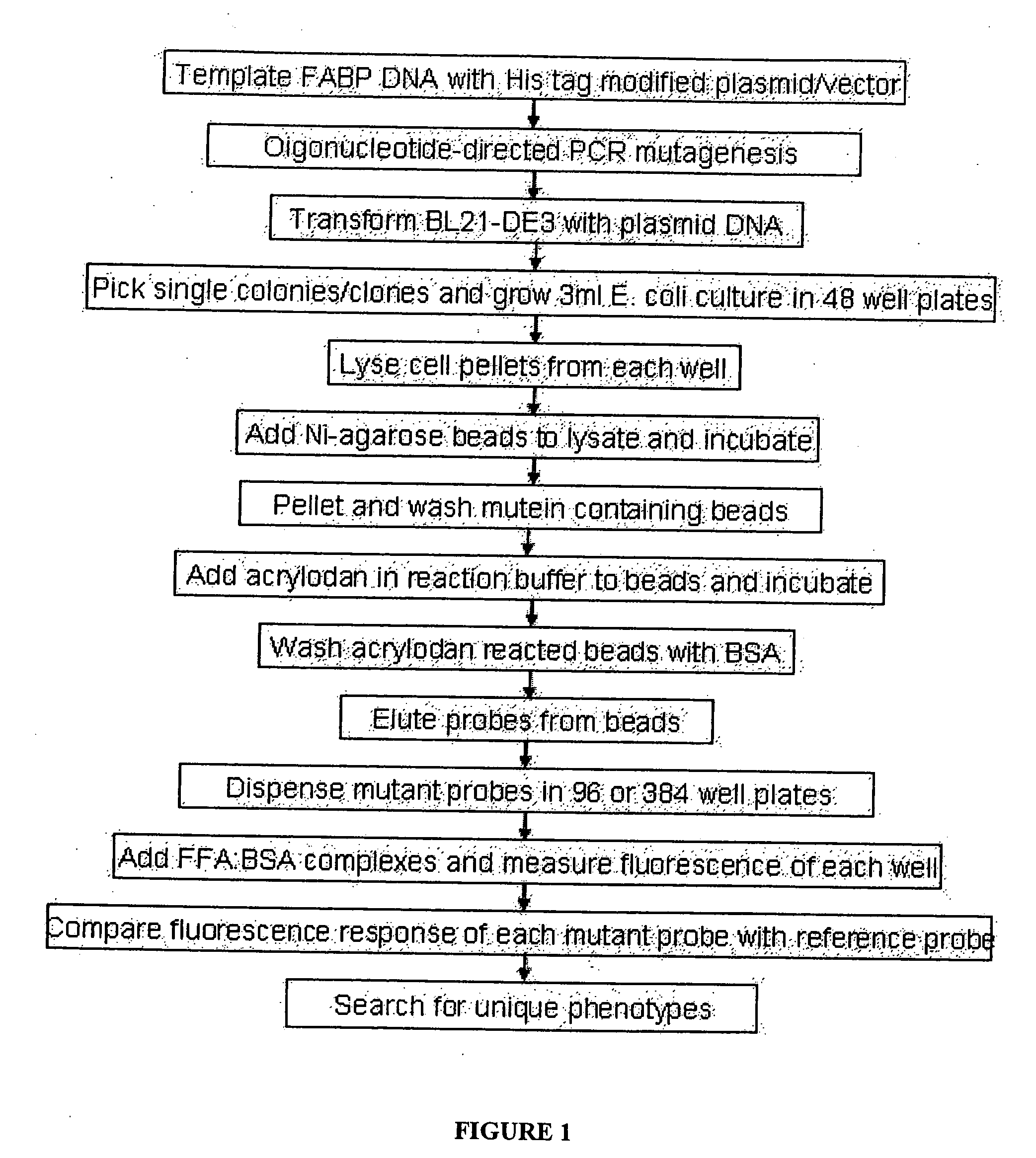 Development and use of fluorescent probes of unbound analytes