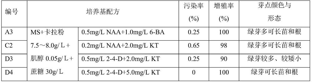 A kind of method for rapid propagation and seedling growth of flue-cured tobacco