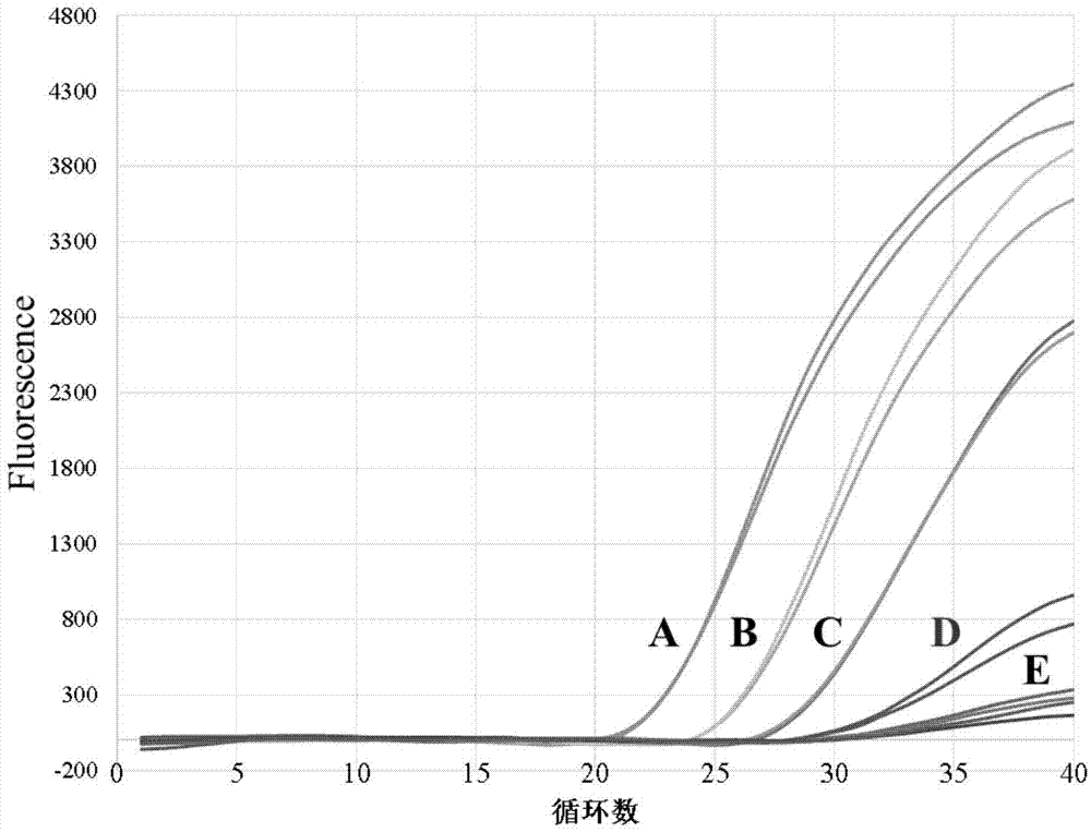 Method for detecting staphylococcus aureus and enterotoxin A gene in food